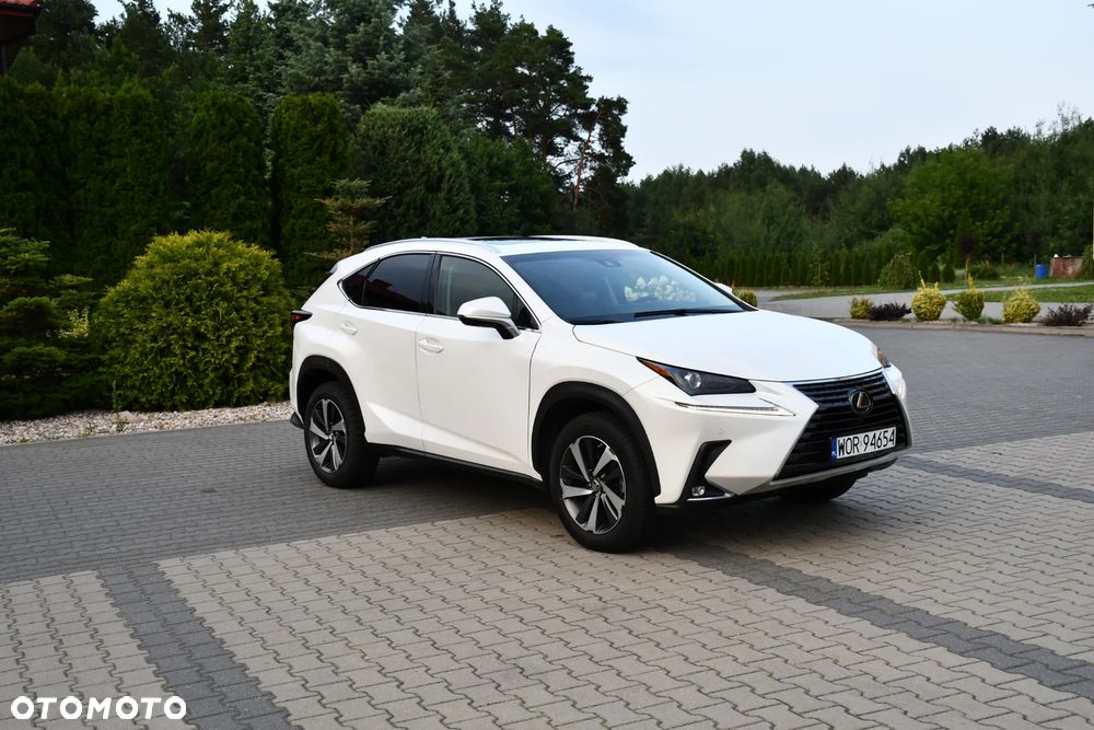 Lexus NX 300 AWD Executive Line - 14