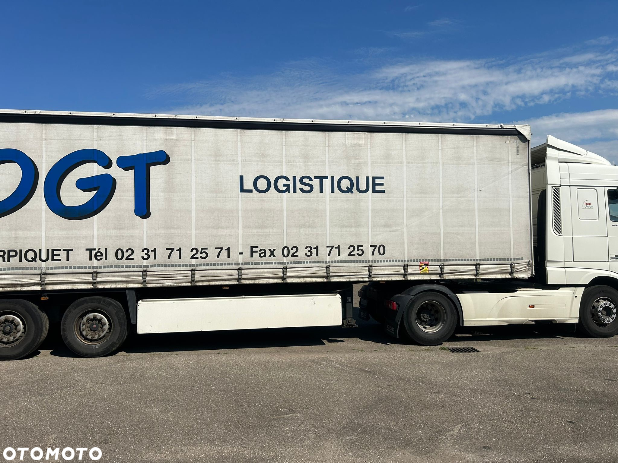 Schmitz Cargobull Standard  * SAF *  Oś podnoszona * Sprowadzona - 7
