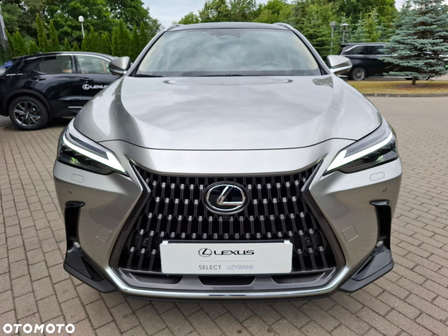 Lexus NX - 8