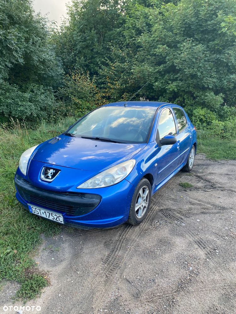 Peugeot 206 plus - 1