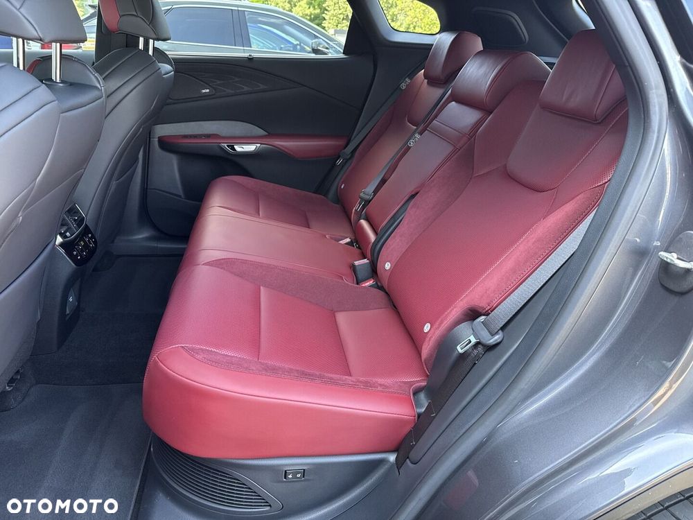 Lexus RX - 13