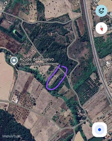Terreno rústico com 3.000 M2, 50 oliveiras de boa qualidade - Grande imagem: 5/6