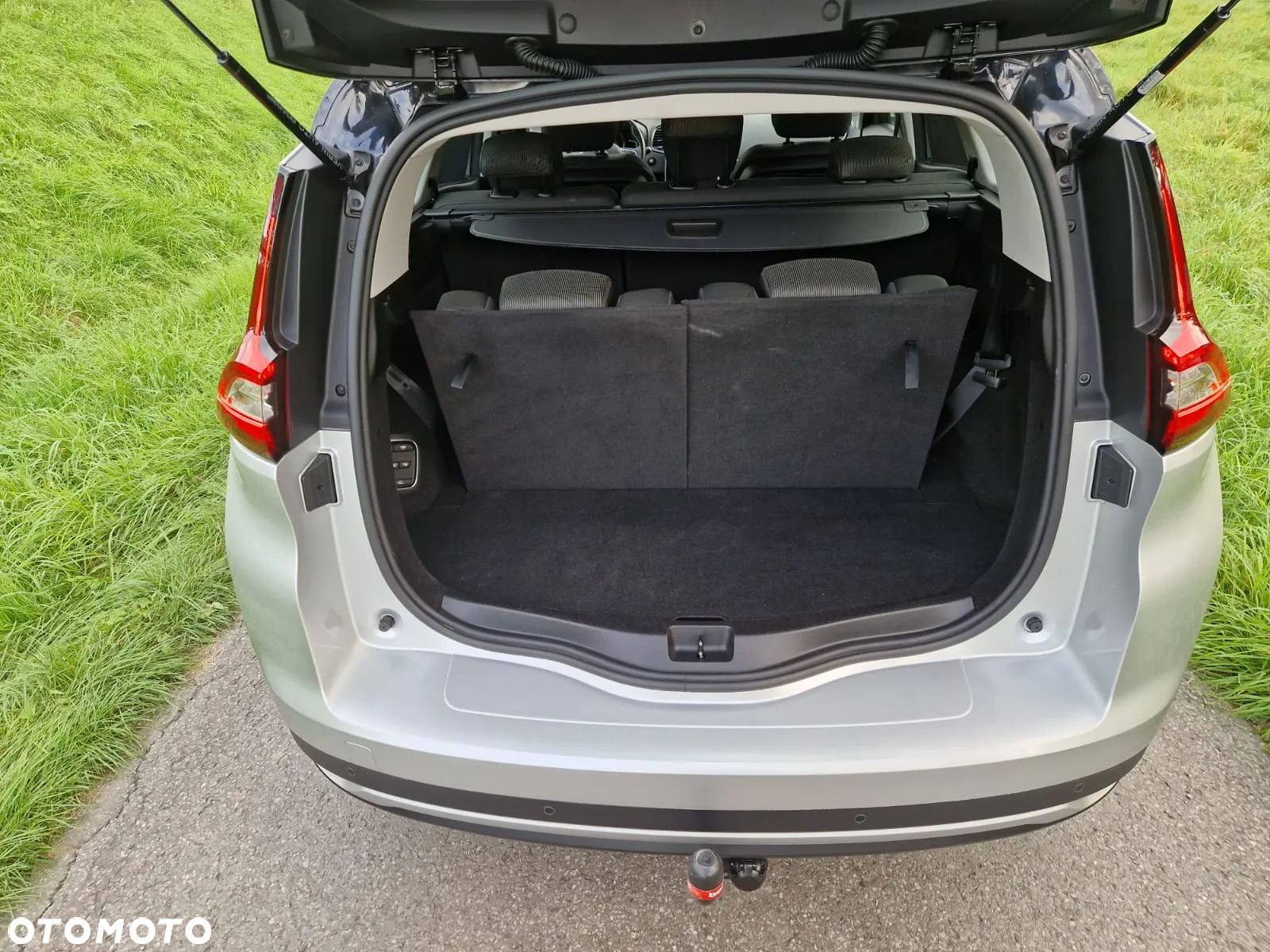 Renault Scenic - 10
