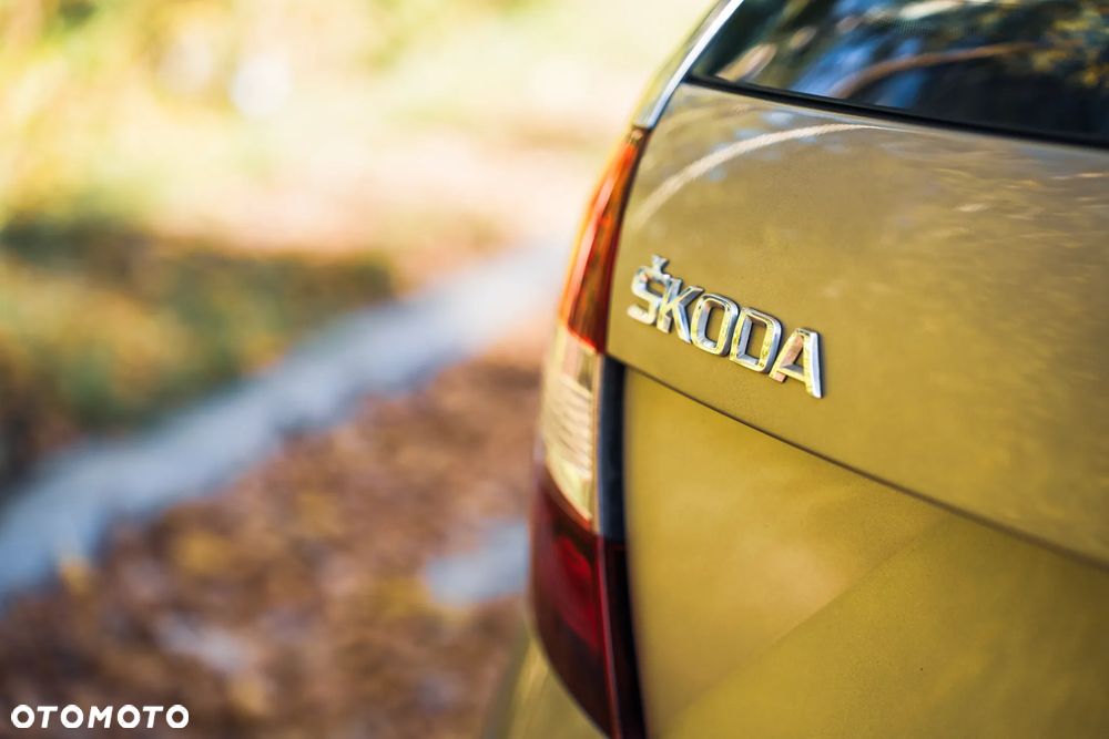 Skoda RAPID 1.0 TSI Ambition - 15