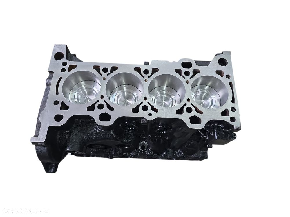 2.3 JTD HPI Ducato Daily Jumper Boxer BLOK PO PEŁNEJ REGENERACJI EURO 4 / EURO 5 - 2