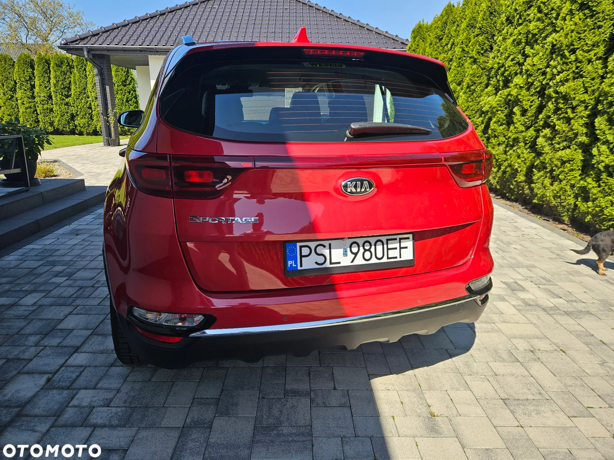 Kia Sportage 1.6 CRDI AWD GT LINE - 17
