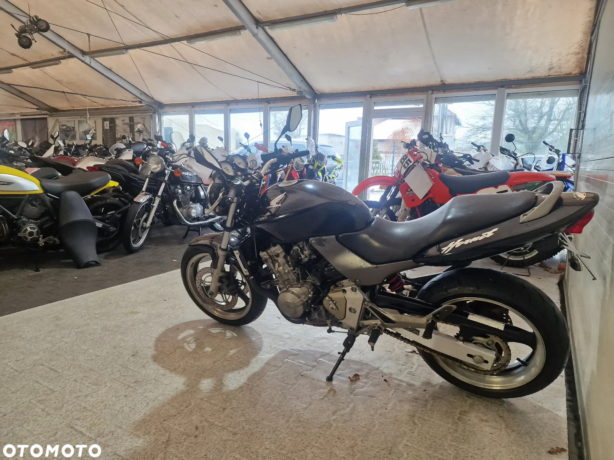 Honda Hornet - 21