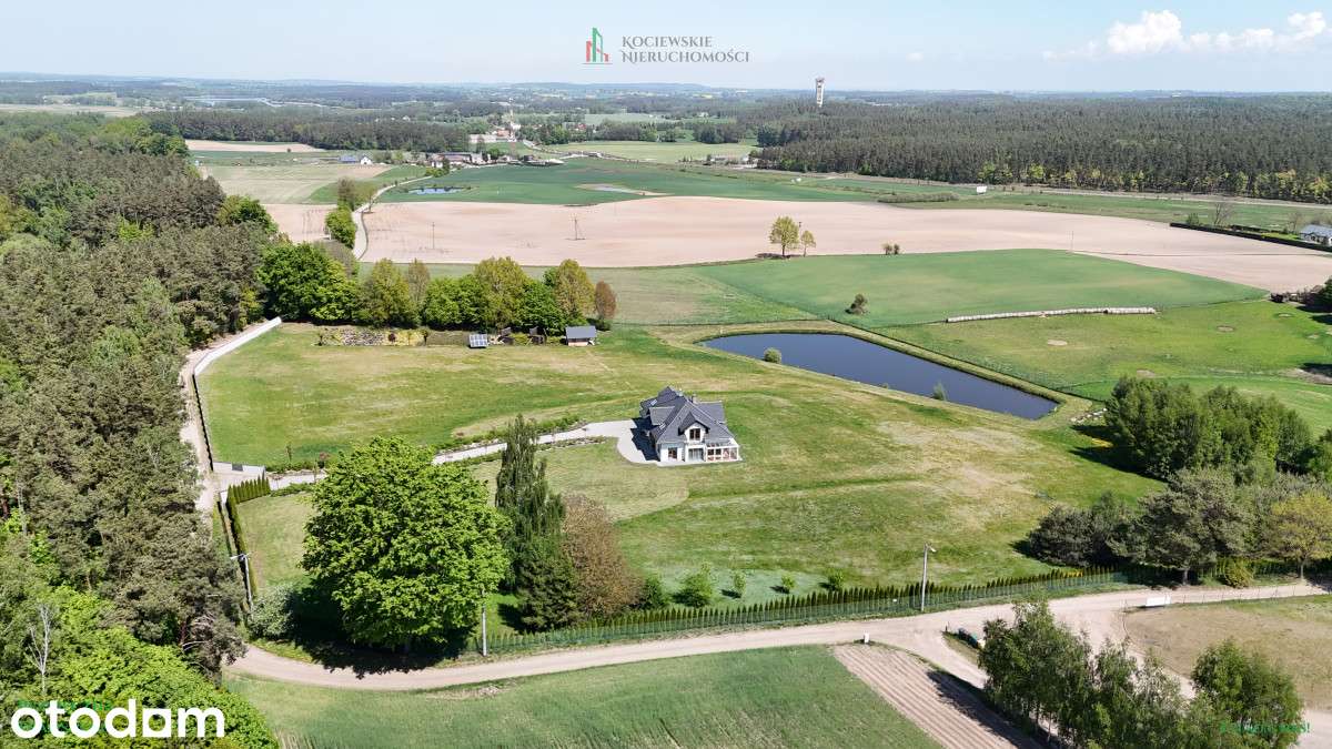 Willa z 3ha działką | Trzcińsk | 45 min od Gdańska - Pełny obrazek: 5/20
