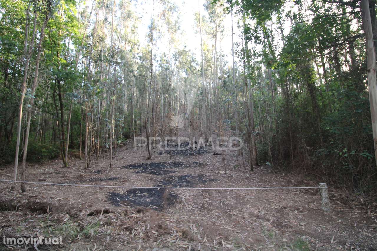 Terreno rústico com viabilidade construtiva, Lagares, Penafiel - Grande imagem: 5/19