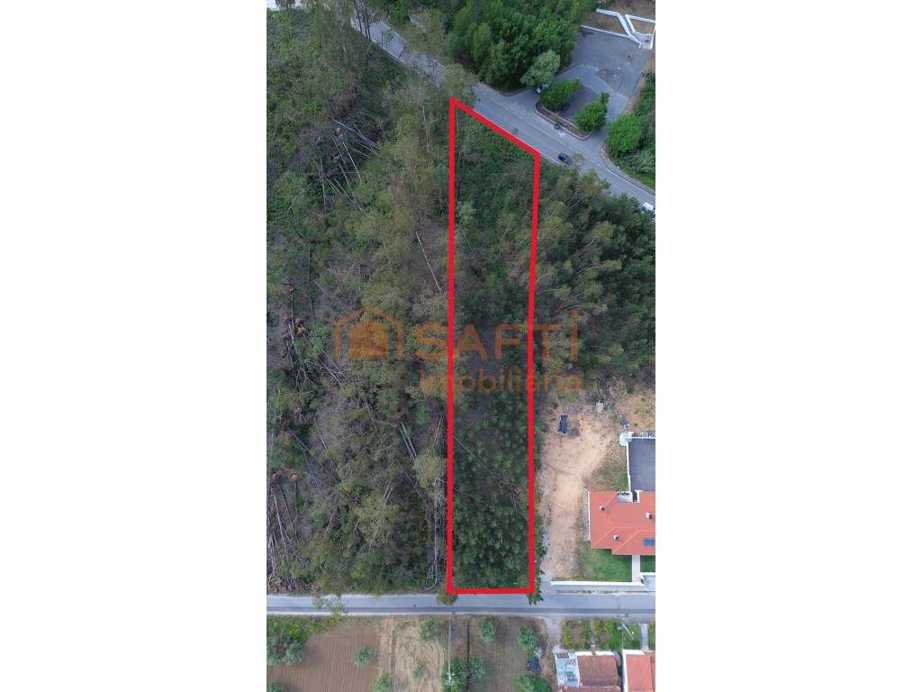 Terreno para construção | 2.760 m² | Charneca - Pombal - Grande imagem: 2/14