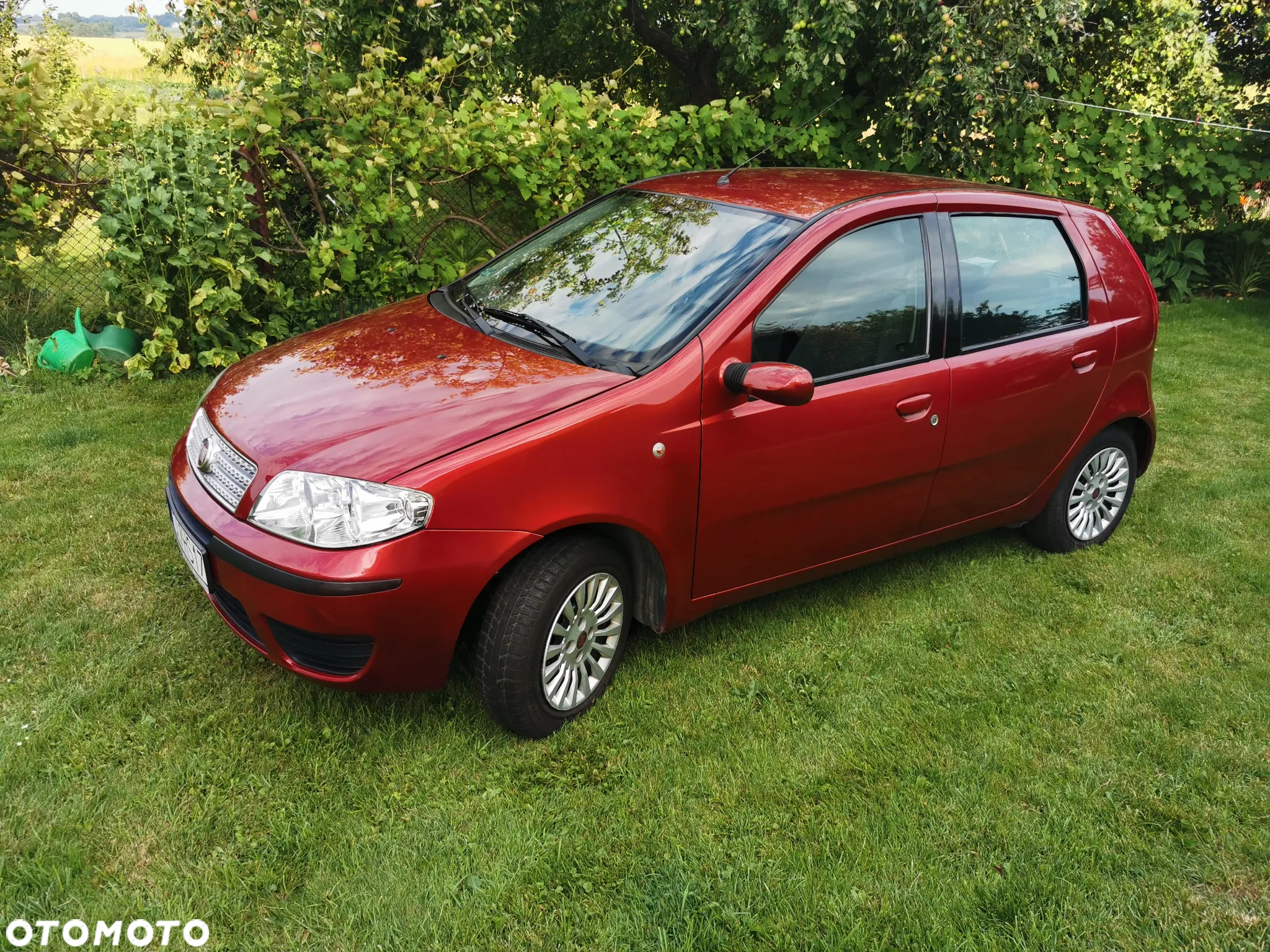 Fiat Punto 1.2 8V Classic - 4