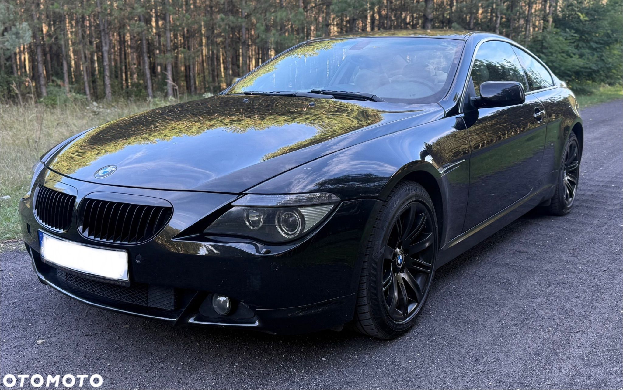 BMW Seria 6 - 1