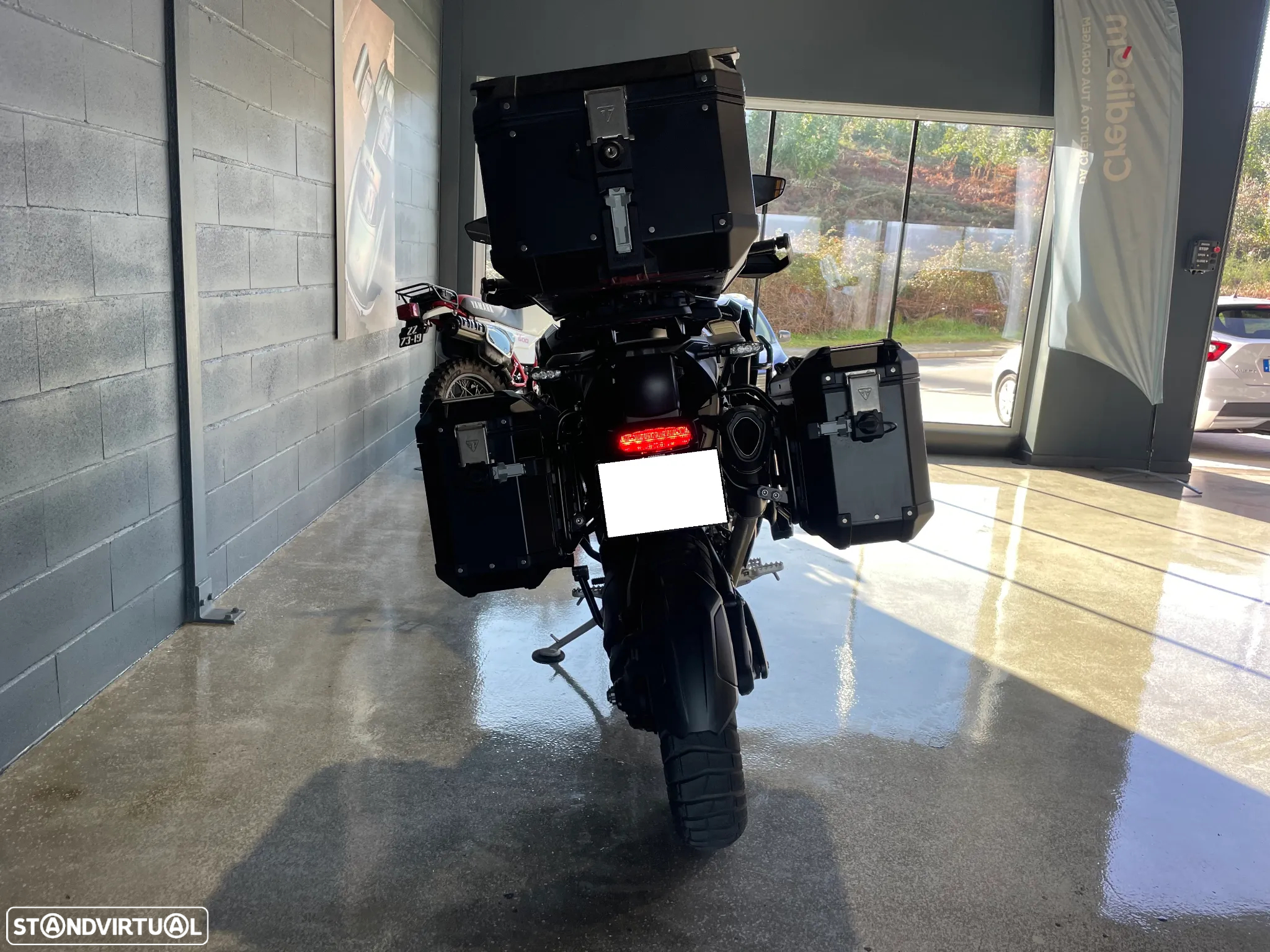 Triumph Tiger RALLY EXPLORER - 4