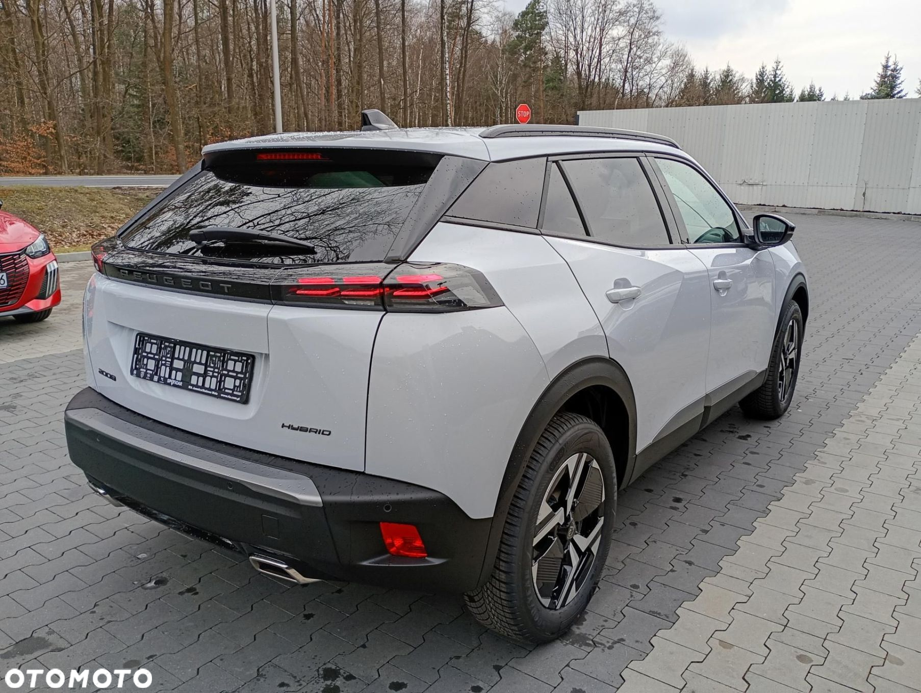 Peugeot 2008 - 6