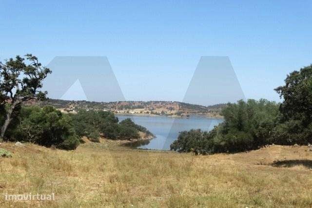 Terreno com 9.74 ha, junto à Barragem Monte da Rocha - Ourique - Grande imagem: 2/7