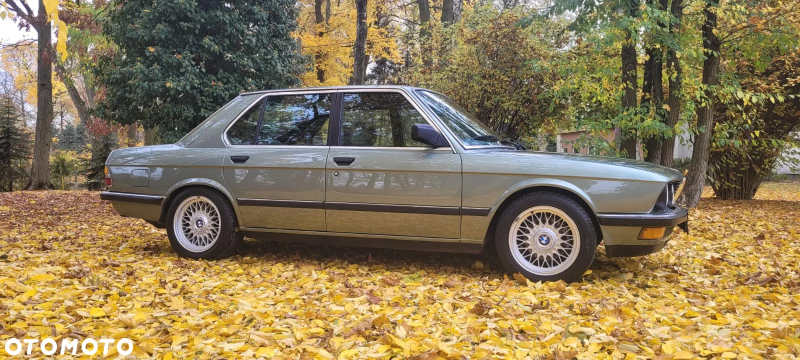 BMW Seria 5 - 20