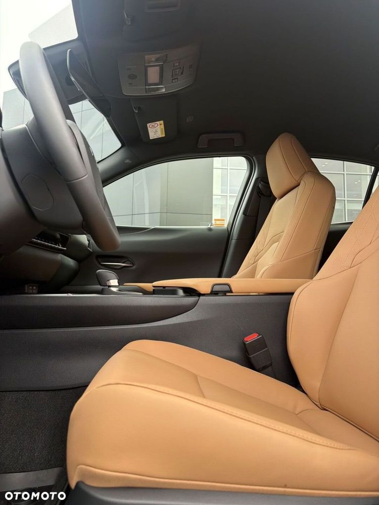 Lexus UX 300h F Sport Design - 11
