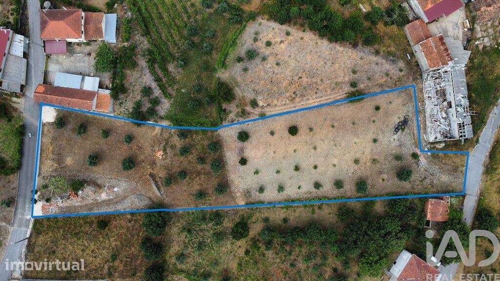 Terreno Agrícola em Graça - Grande imagem: 4/19
