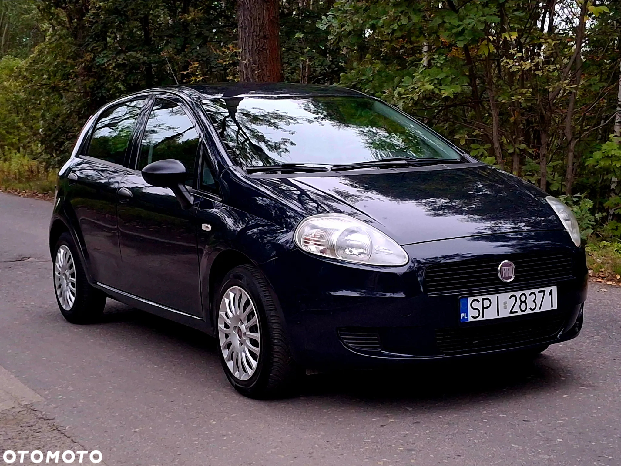 Fiat Grande Punto Actual 1.2 8V Estiva - 2