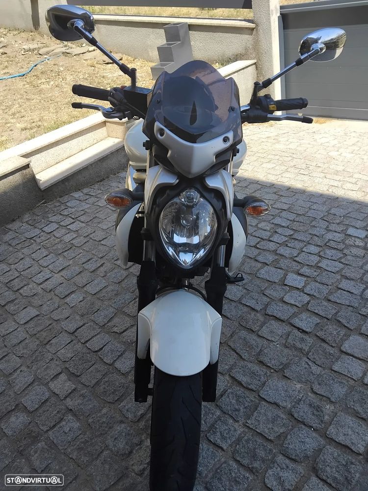 Suzuki SFV Gladius - 2