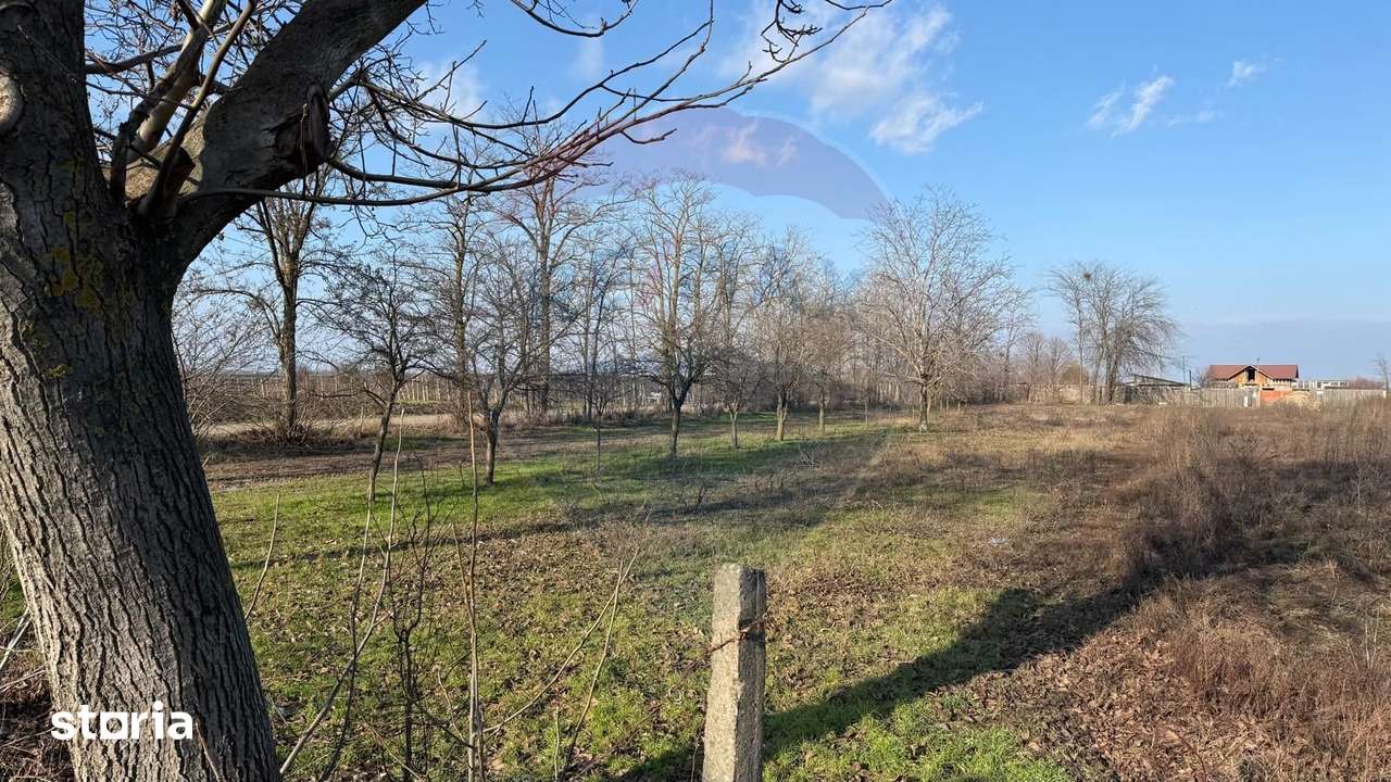 Teren 2,300mp Petresti / Strada Lacramioarei - Imagine principală: 4/6