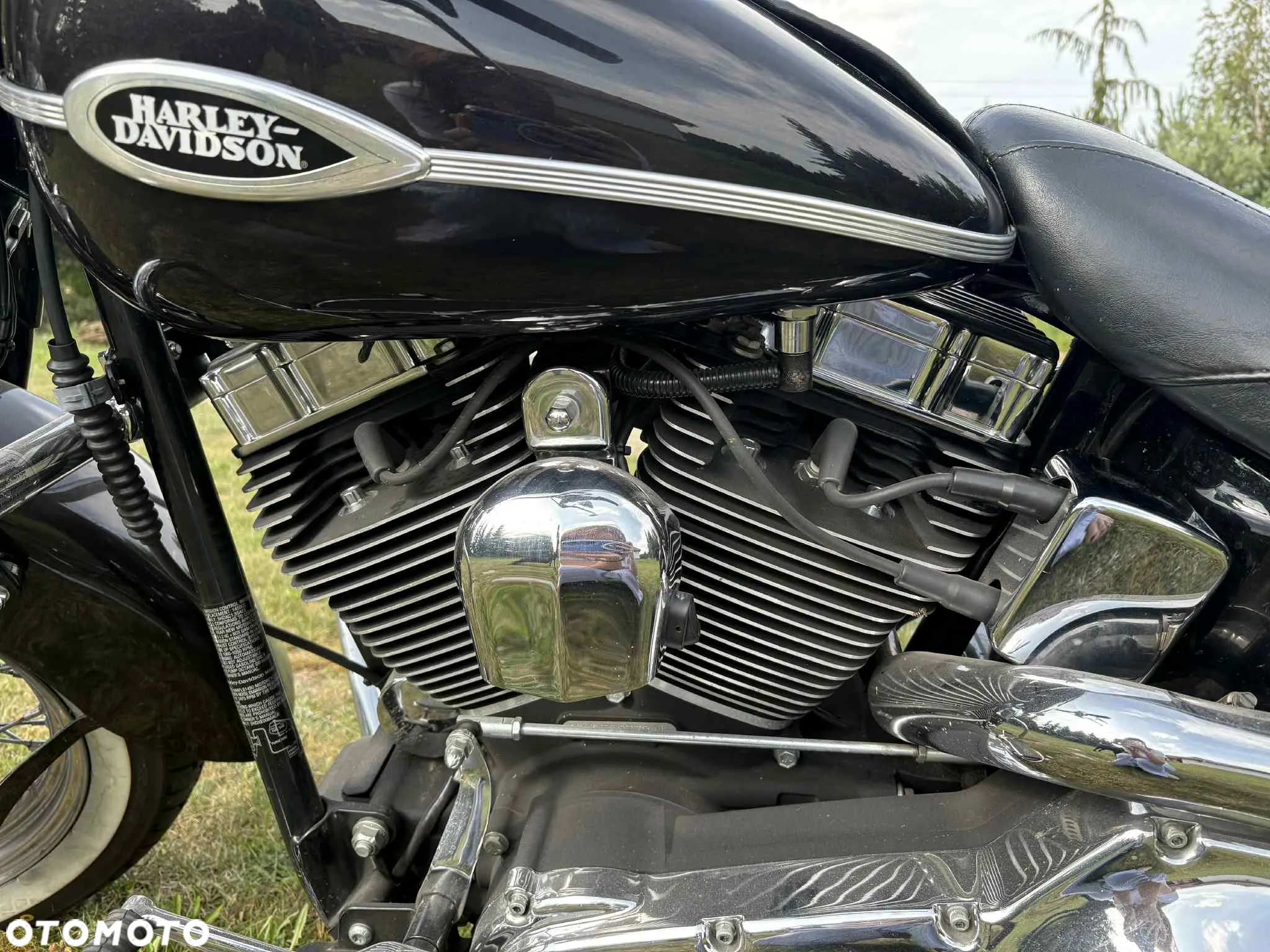 Harley-Davidson Softail Springer Classic - 7