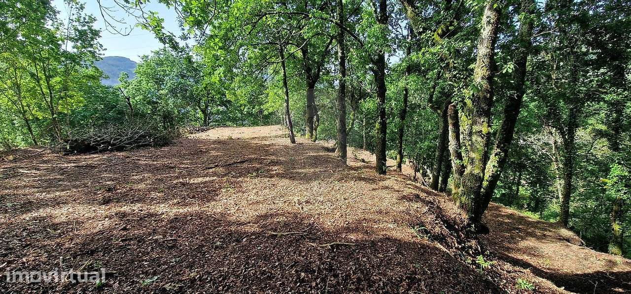 Terreno  para venda - Grande imagem: 2/8