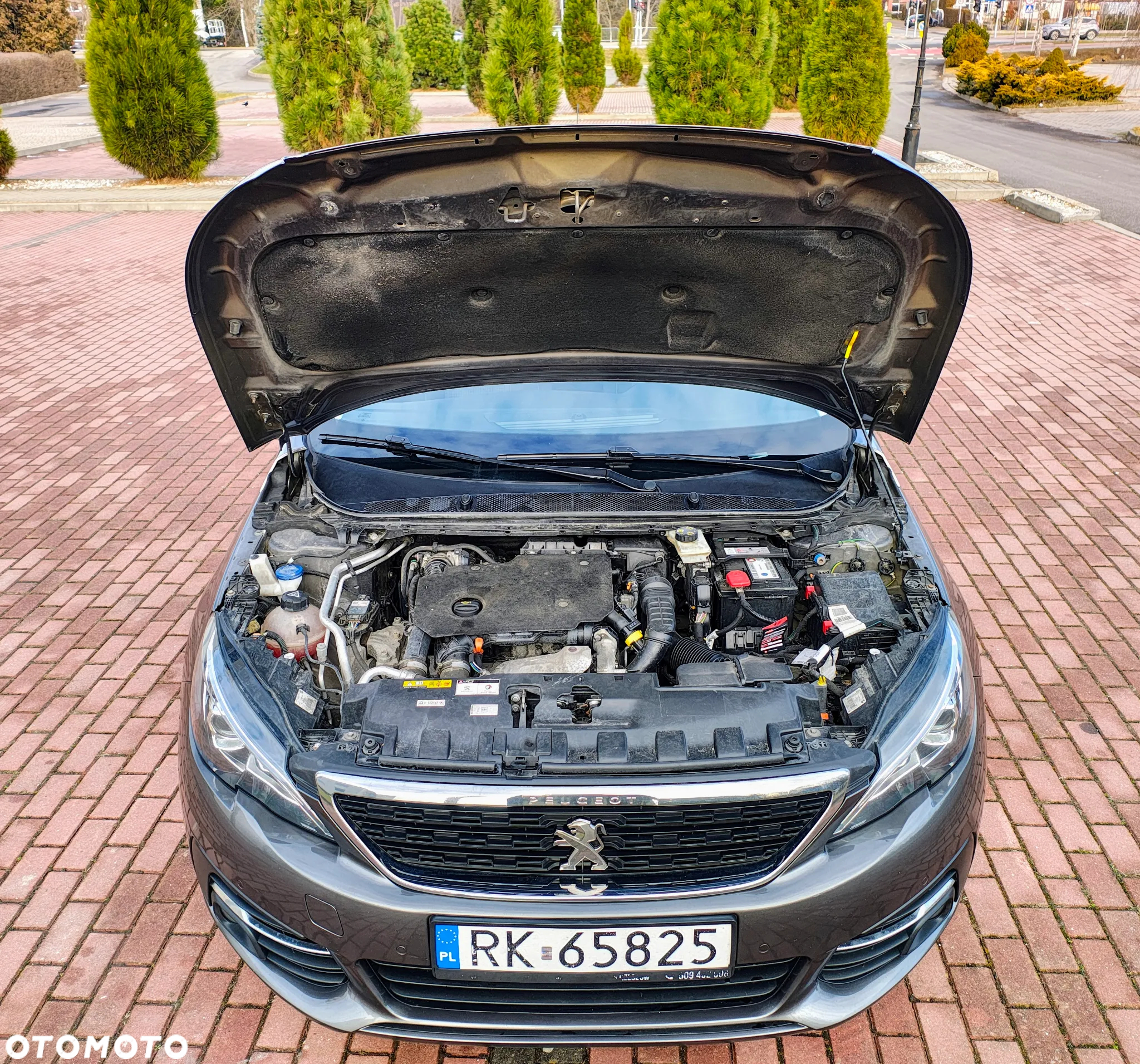 Peugeot 308 1.5 BlueHDi GT S&S EAT8 - 17