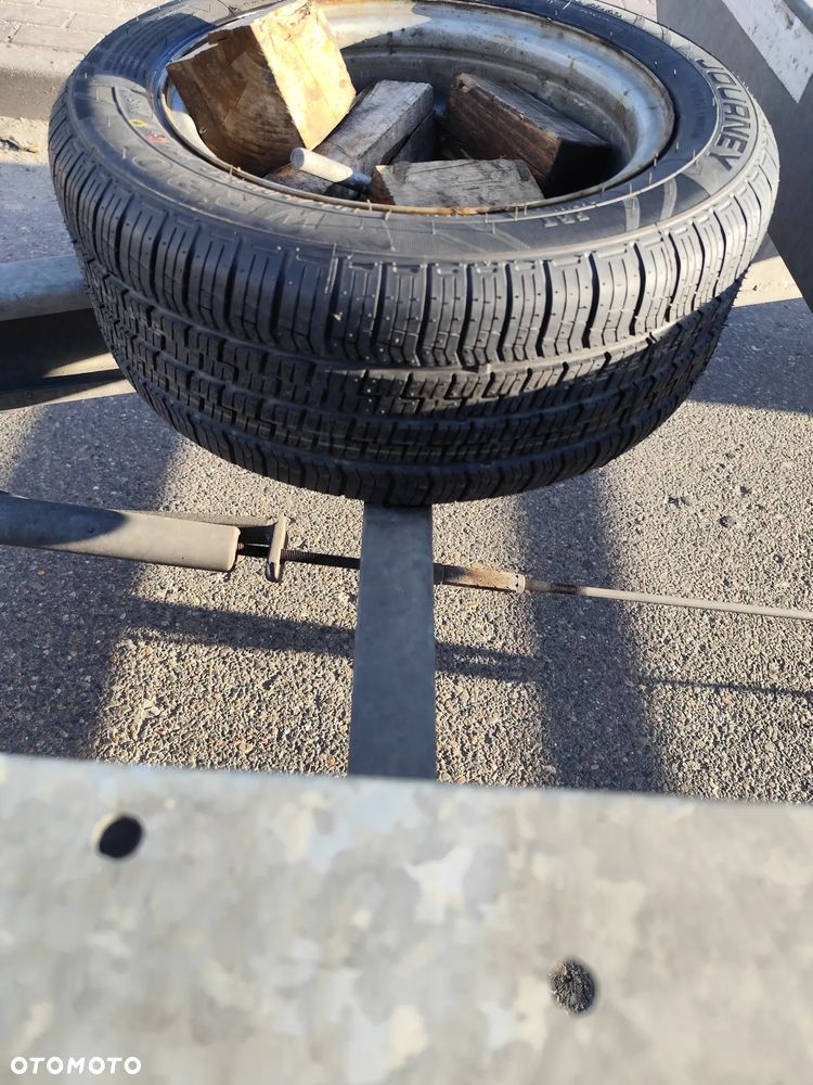 Gala BBG Taurus - 19