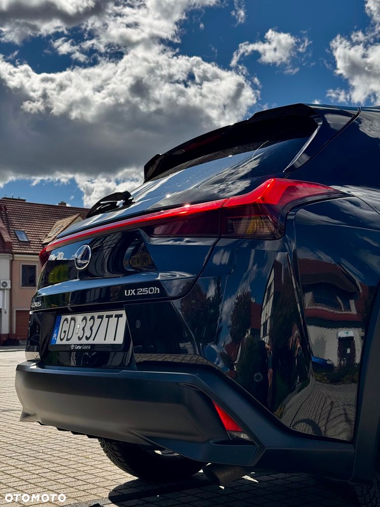 Lexus UX - 14