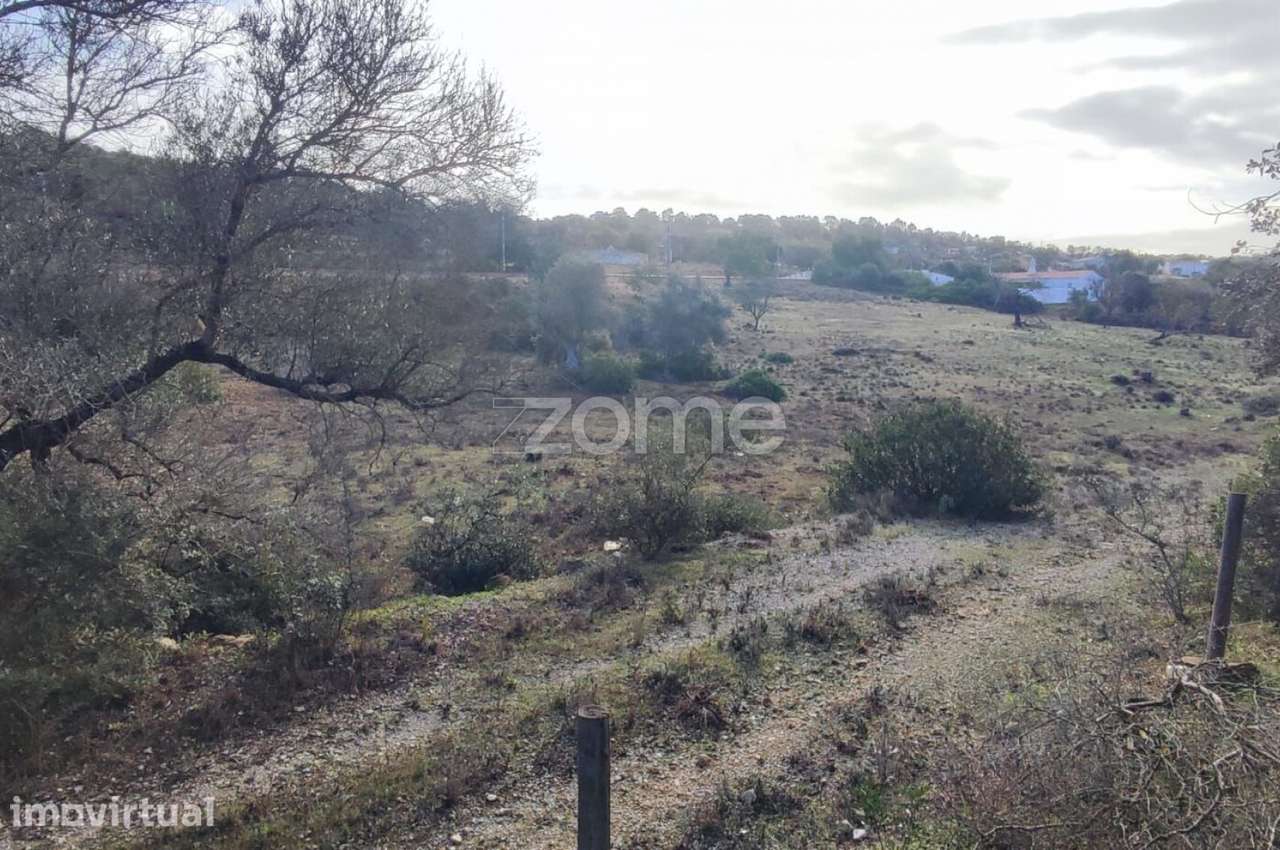 Terreno Rústico – Tunes, Silves | 1.480 m² - Grande imagem: 2/17