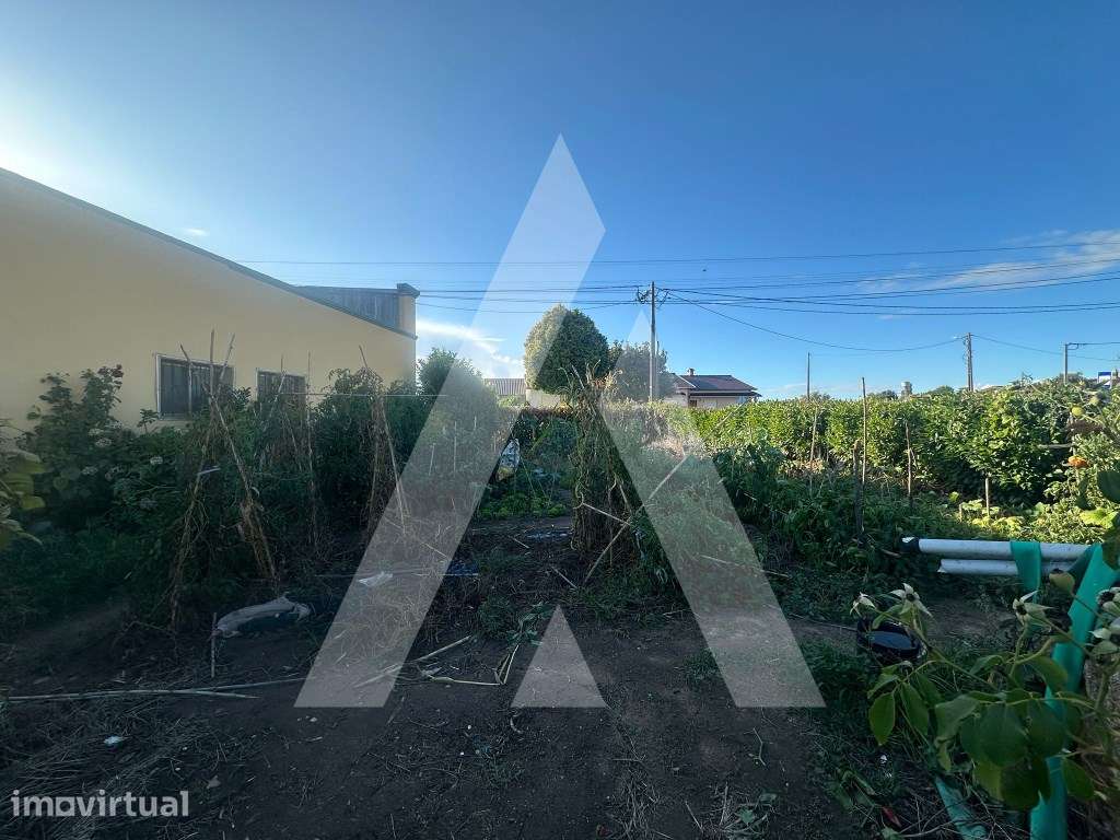 Terreno em Águas Boas - Grande imagem: 4/8