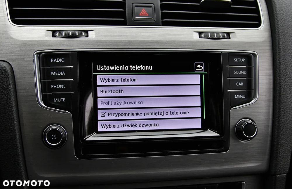 Volkswagen Golf - 30