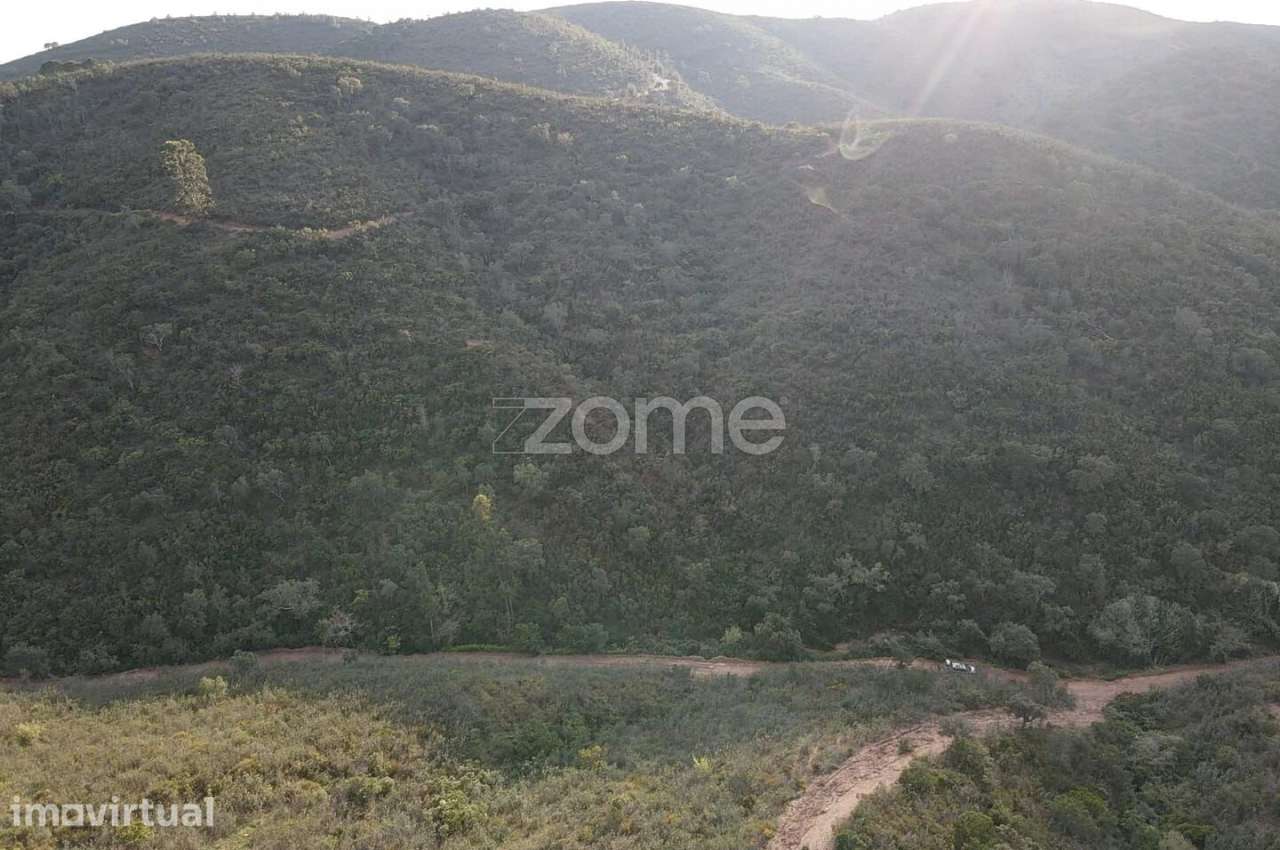 Terreno Rústico em Barranco do Talurdo com 183.520m2 - Grande imagem: 3/15