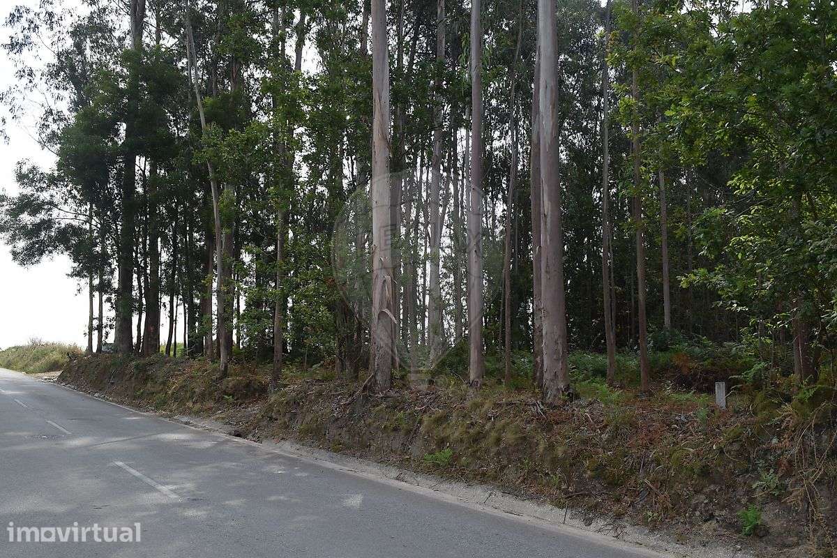 Terreno  para venda - Grande imagem: 5/6