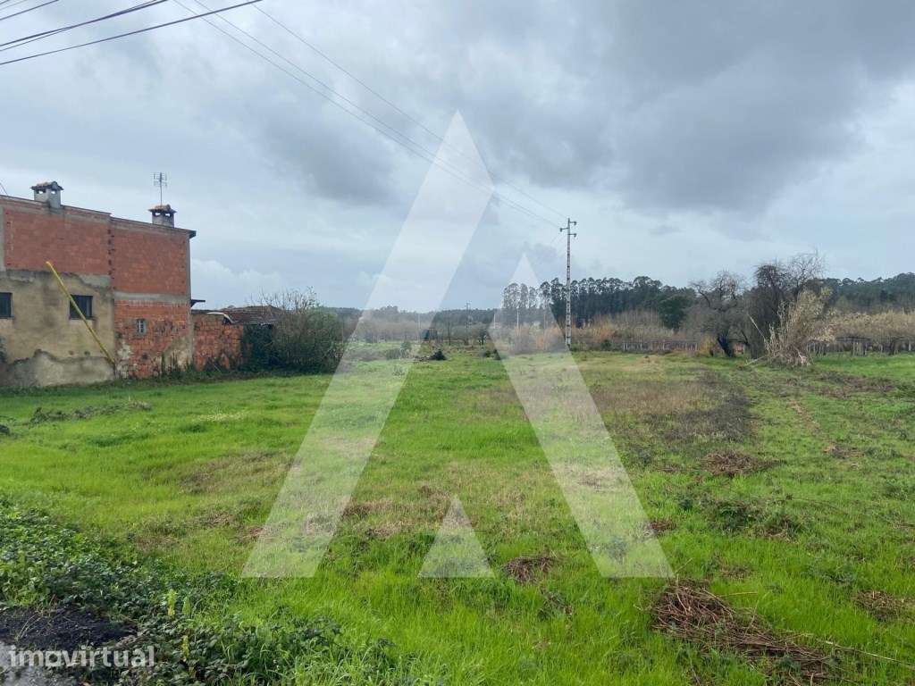 Terreno na Amoreira da Gândara em Anadia - Grande imagem: 2/11