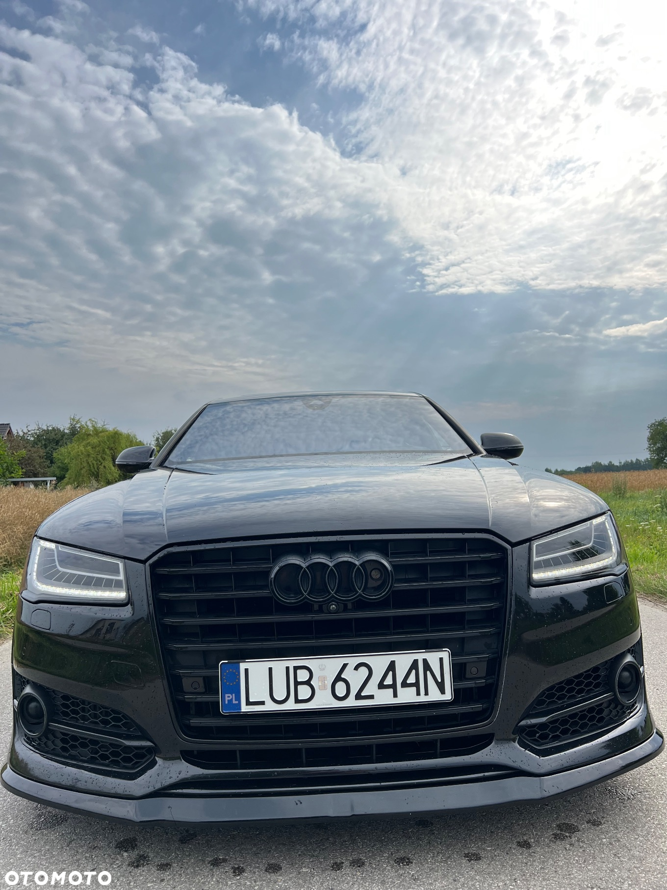 Audi A8 4.2 TDI DPF (clean diesel) quattro tiptronic Lang - 8