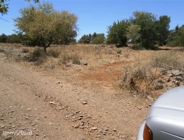 Terreno 5160,00 m2 - Grande imagem: 3/6