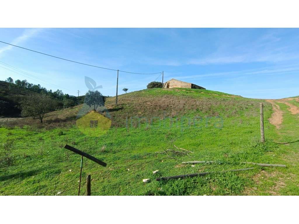 Casa para reconstrução com terreno de 35750m2 - Grande imagem: 2/13