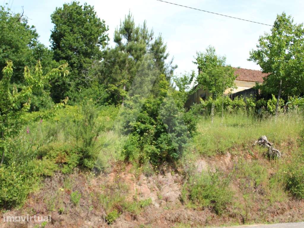 Terreno rústico com possibilidade de construção - Grande imagem: 2/21