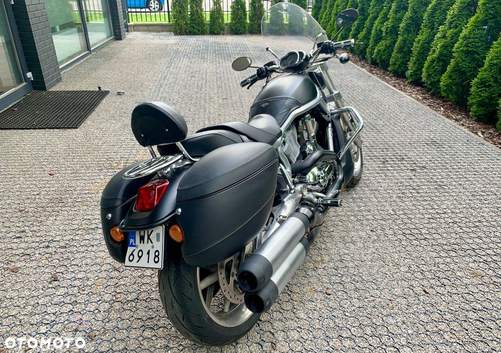 Harley-Davidson V-Rod Street Rod - 5