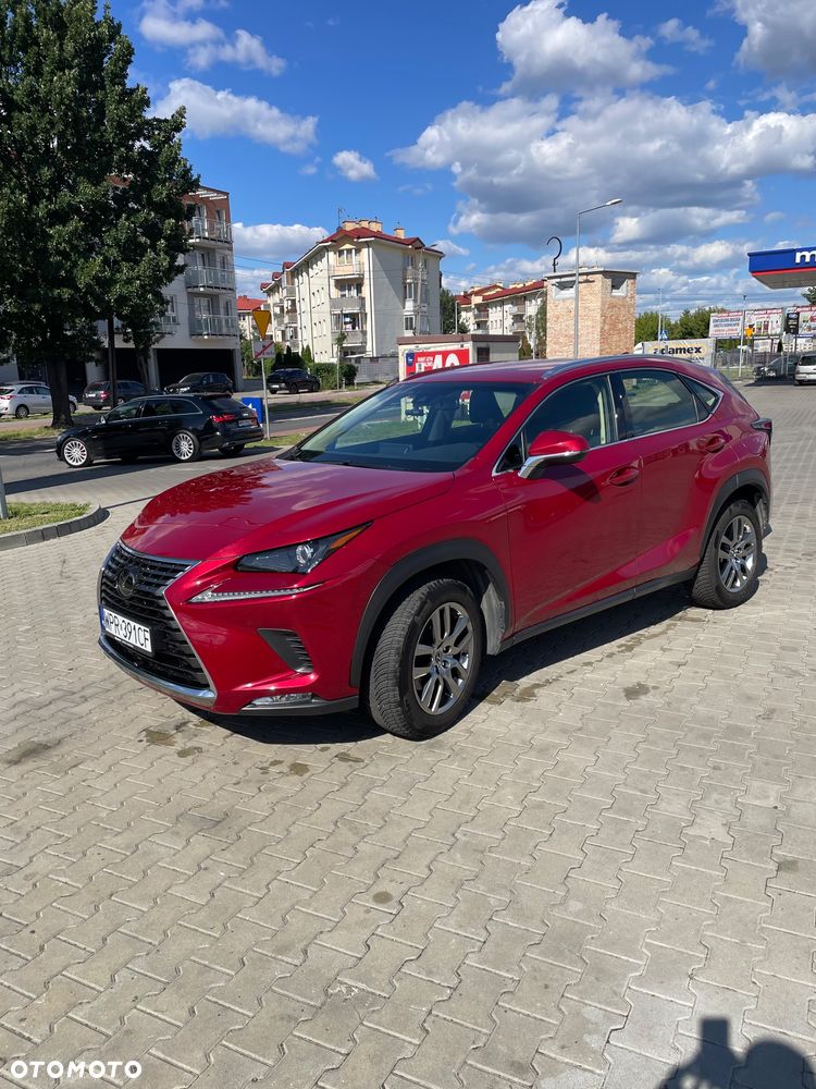 Lexus NX 300 Business Edition AWD - 2