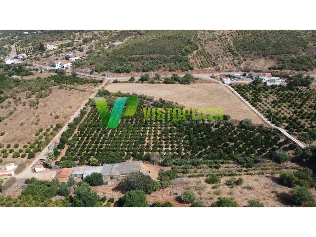 Terreno Misto com Ruínas Legalizadas em Mexilhoeira Grande - Grande imagem: 2/24