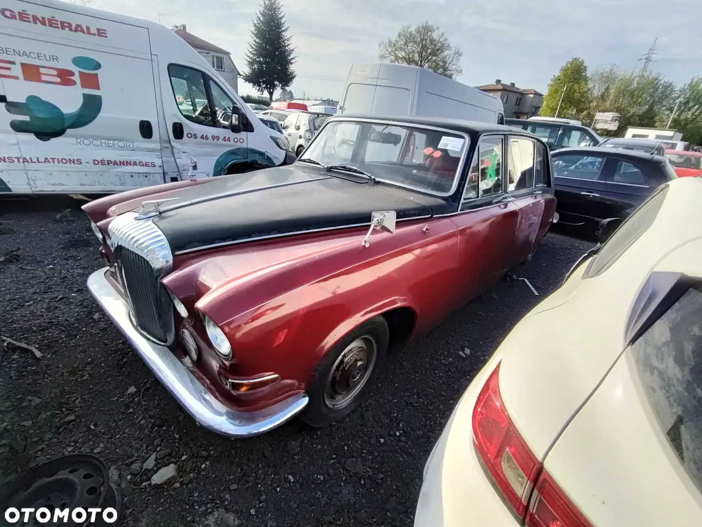 Jaguar Inny - 13