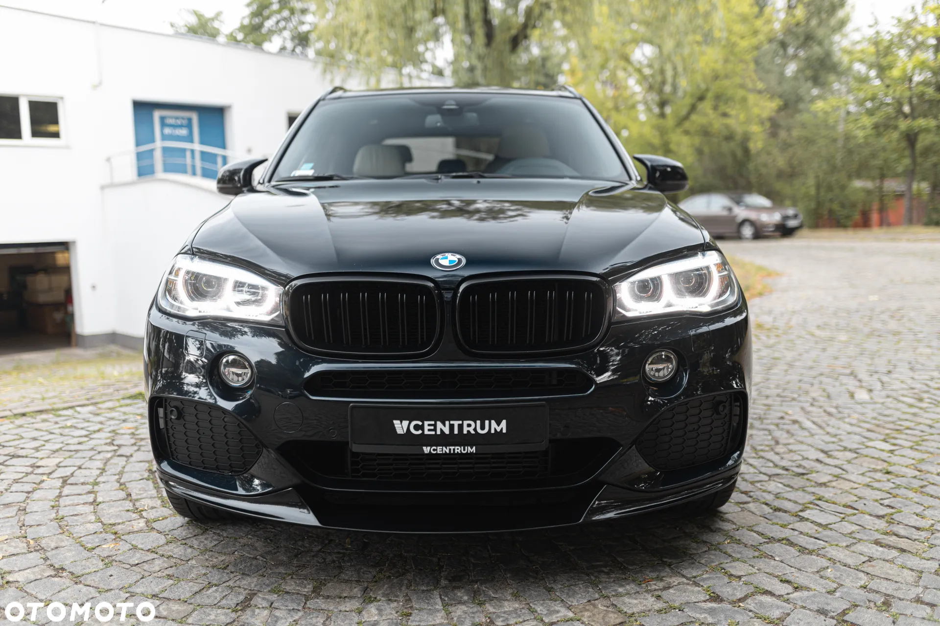 BMW X5 xDrive40d - 6