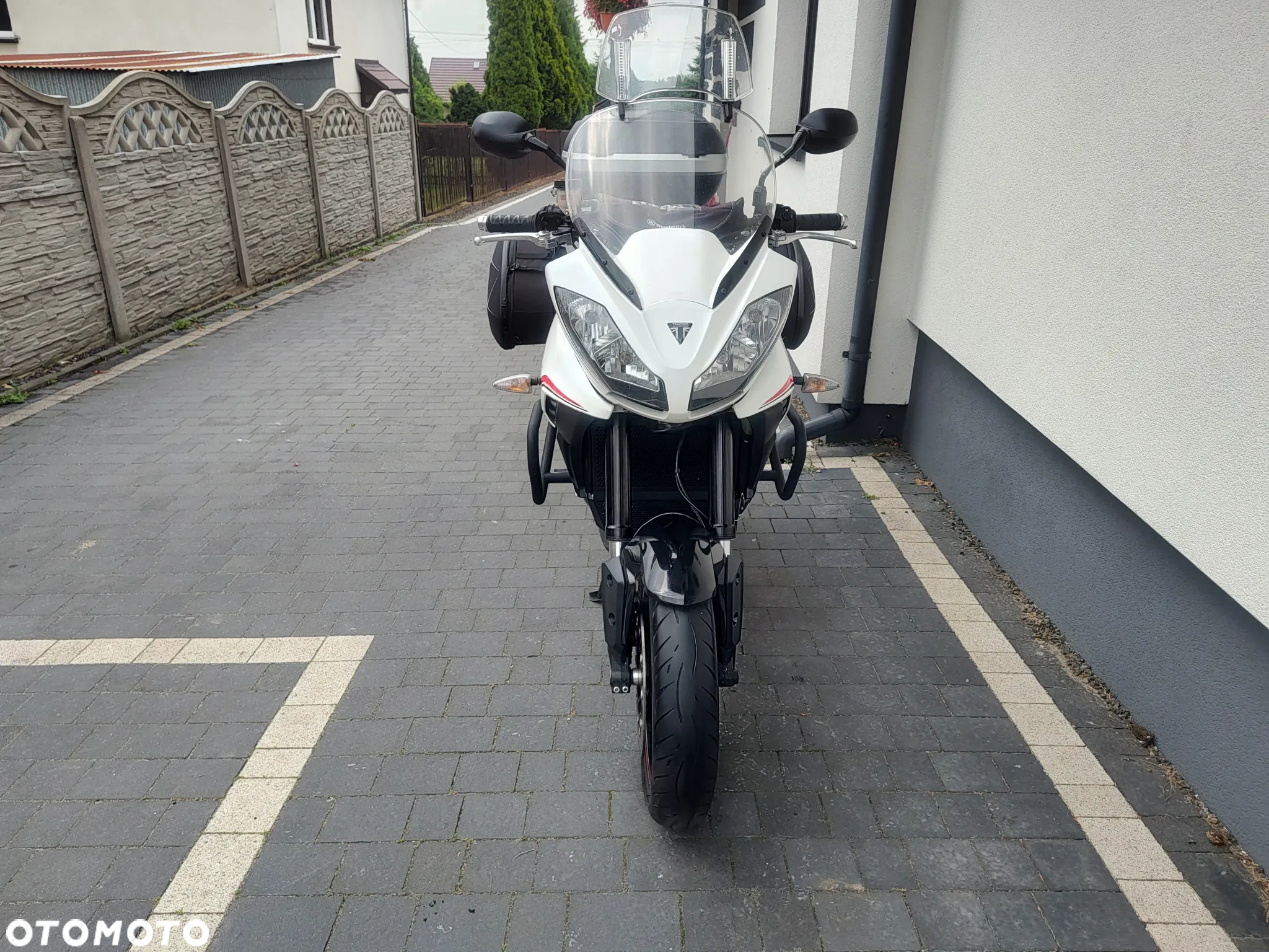 Triumph Tiger - 20