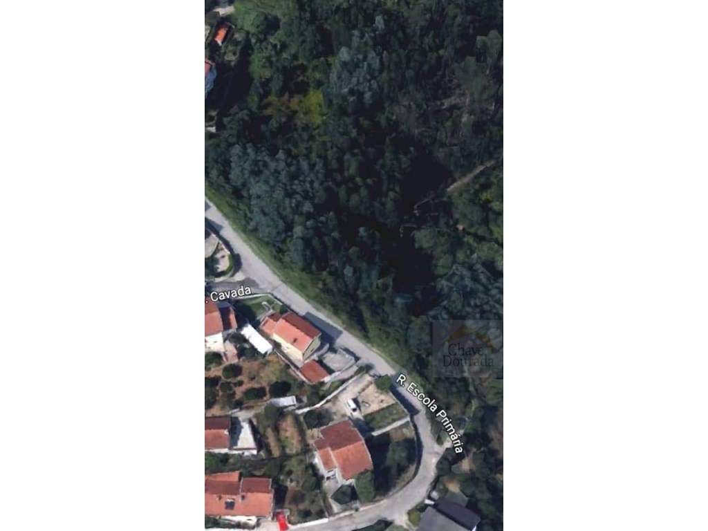 Terreno com 2.650m2 nas Torres do Mondego. - Grande imagem: 3/4