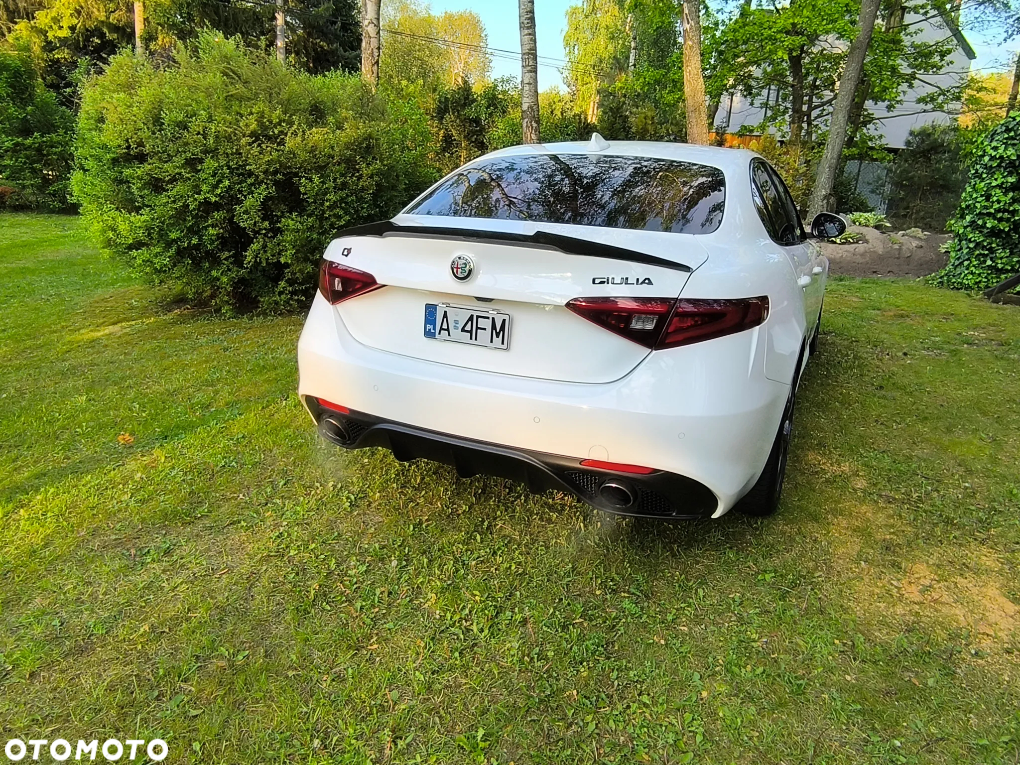 Alfa Romeo Giulia 2.0 Turbo TI Q4 - 6