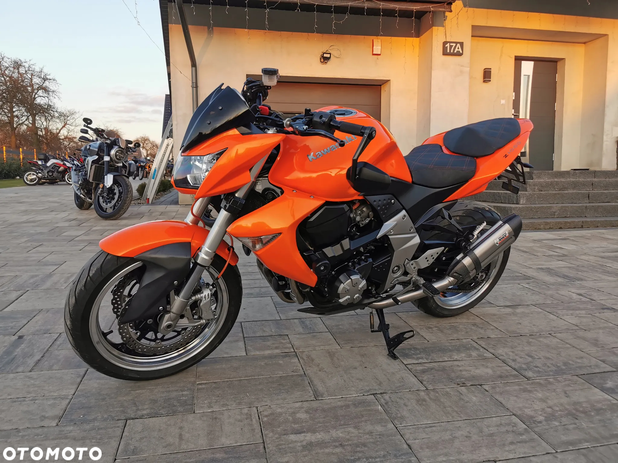 Kawasaki Z - 31