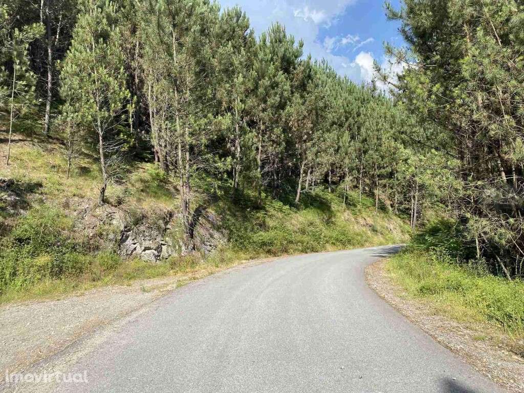 Bouça - Grande imagem: 2/3